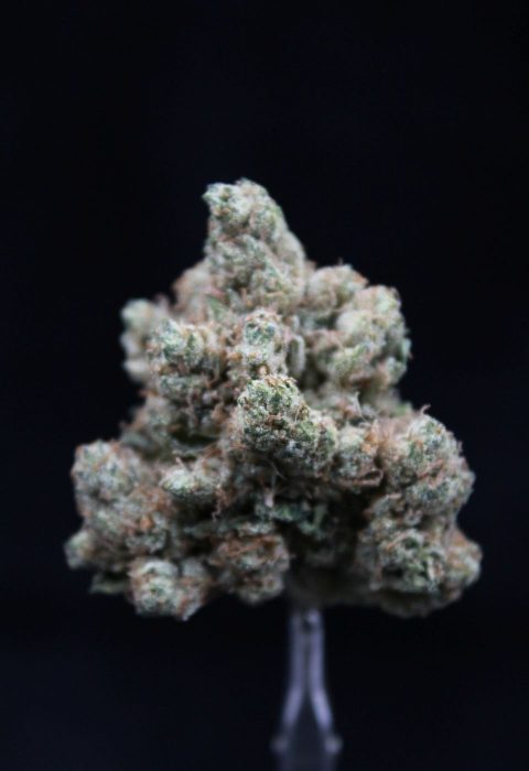 Cali Kush Farms | King Mamba OG | Elite