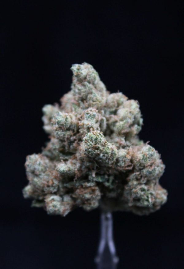 Cali Kush Farms | King Mamba OG | Elite
