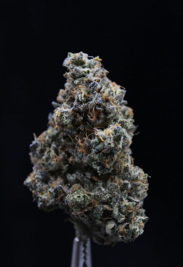 OGX Farms | The Sweeties| Elite