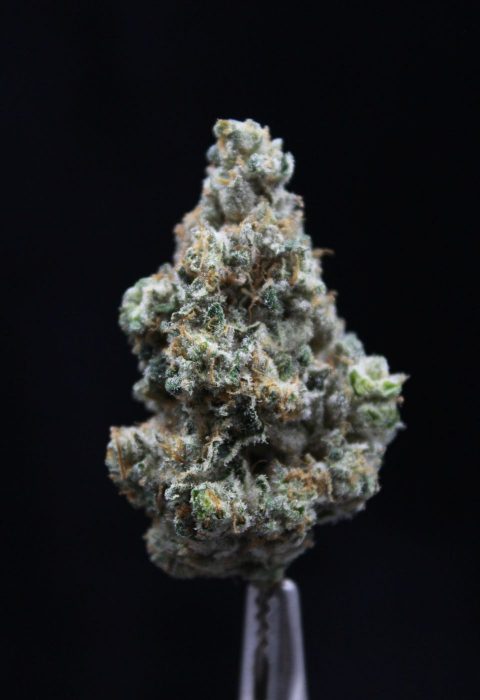 OGX Farms | Face Mints | Elite
