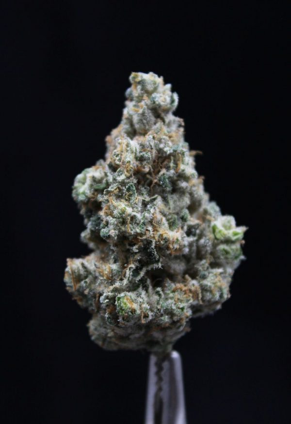 OGX Farms | Face Mints | Elite